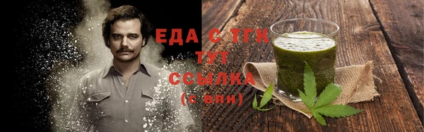 прущие грибы Алзамай