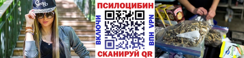 Галлюциногенные грибы Psilocybe  Курчалой 